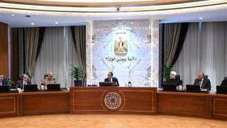 الوزراء  يوافق على مهلة لاستقبال التحويلات بمبادرة استيراد سيارات المصريين بالخارج