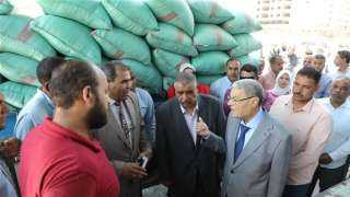 محافظ المنيا: توريد 67 ألف طن حتى الآن من محصول القمح بالشؤون والصوامع الحكومية
