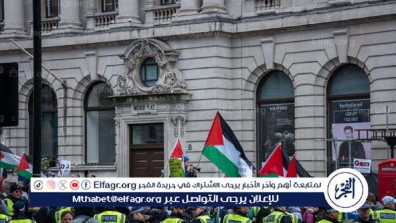 مظاهرات دعم فلسطين - أرشيفية