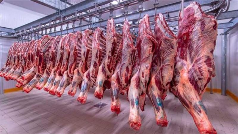 أسعار اللحوم في أسواق المحافظات