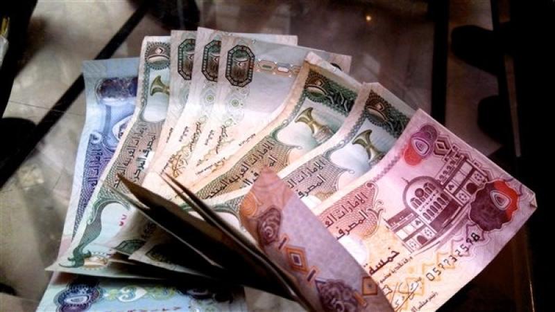 الدرهم الاماراتي