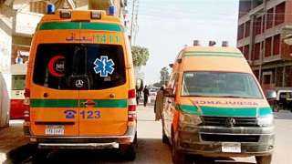 إصابة شخصين في حادث تصادم على طريق أبوسمبل بأسوان