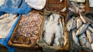 أسعار الأسماك اليوم، 150 جنيهًا أعلى سعر لكيلو البوري في سوق العبور