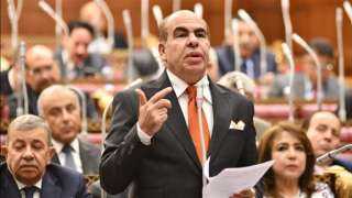 برلمانية الوفد توصي بضرورة المرونة لتحصيل الضرائب