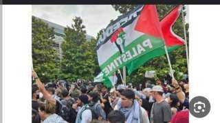 بذكرى النكبة الـ76.. مسيرات أمريكية للمطالبة بوقف العدوان على غزة