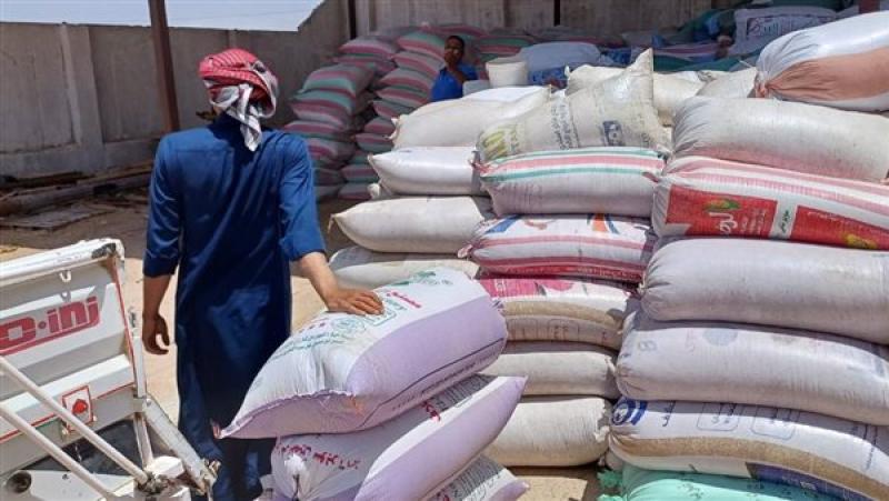 توريد القمح للمطاحن والشون بجنوب سيناء