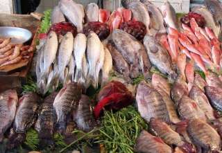 أسعار الأسماك والجمبري بالأسواق اليوم الثلاثاء 21 مايو 2024