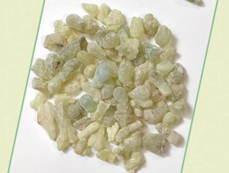 الرأي العام