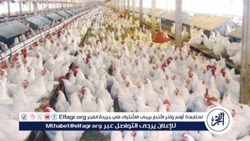 الرأي العام