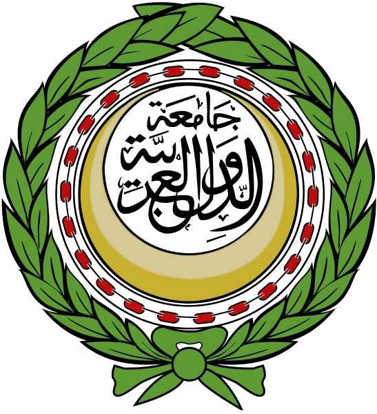الرأي العام