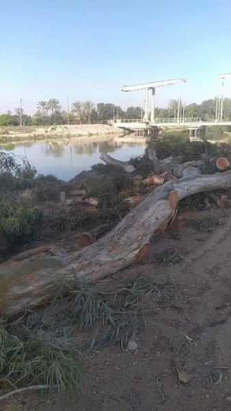 الرأي العام