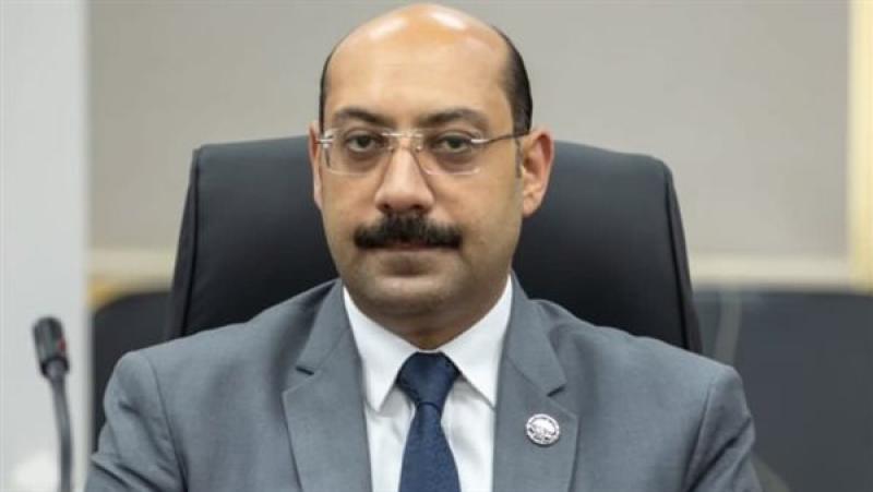النائب أحمد المصرى