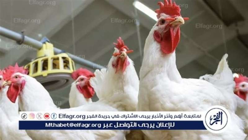الرأي العام