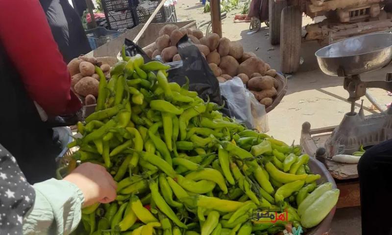 اسعار الخضروات والفواكه بالفيوم