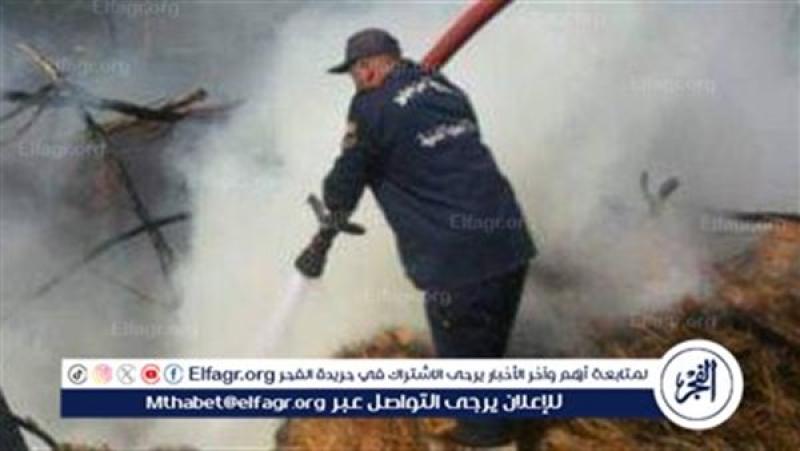 الرأي العام