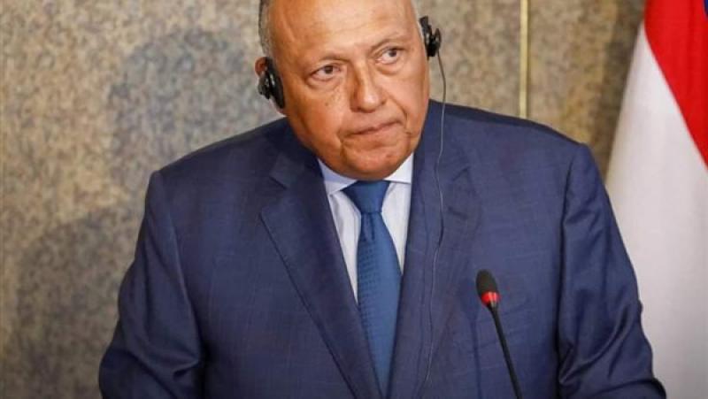 وزير الخارجية سامح شكري