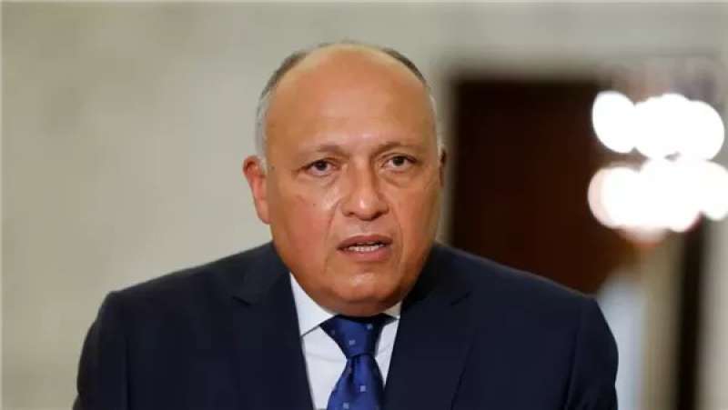 سامح شكرى