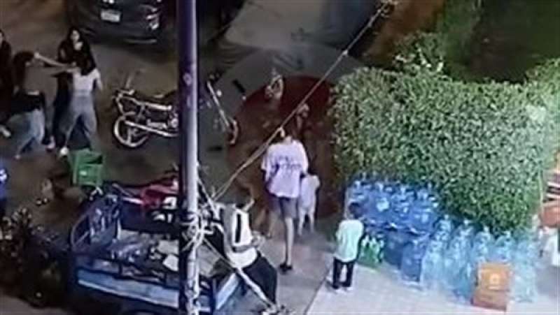 أرشيفية