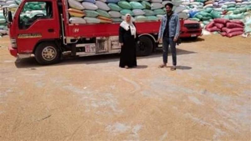 توريد القمح