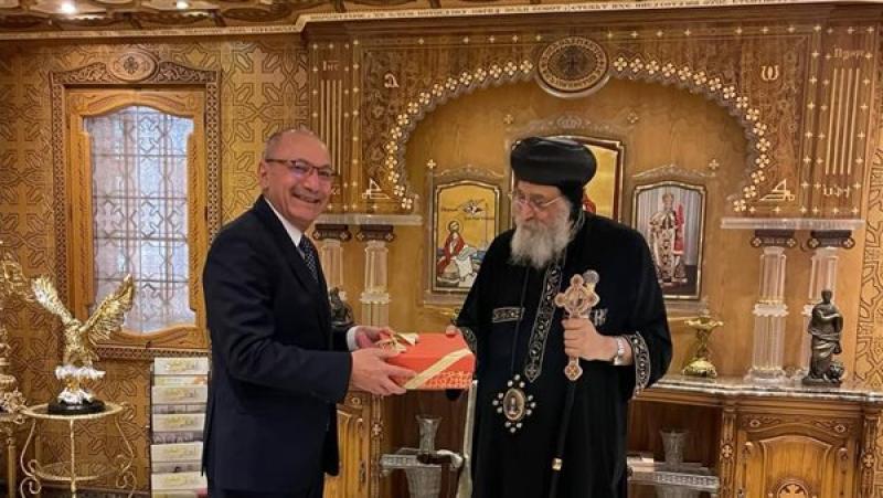 سفير تركيا بالقاهرة صالح موطلو شن
