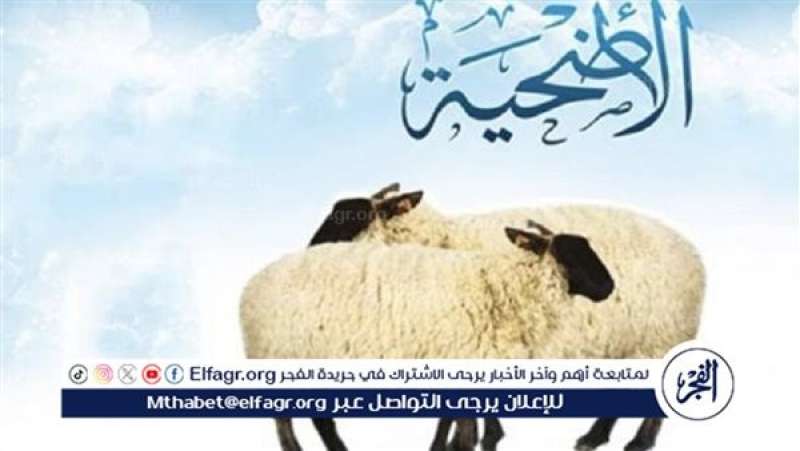 الرأي العام
