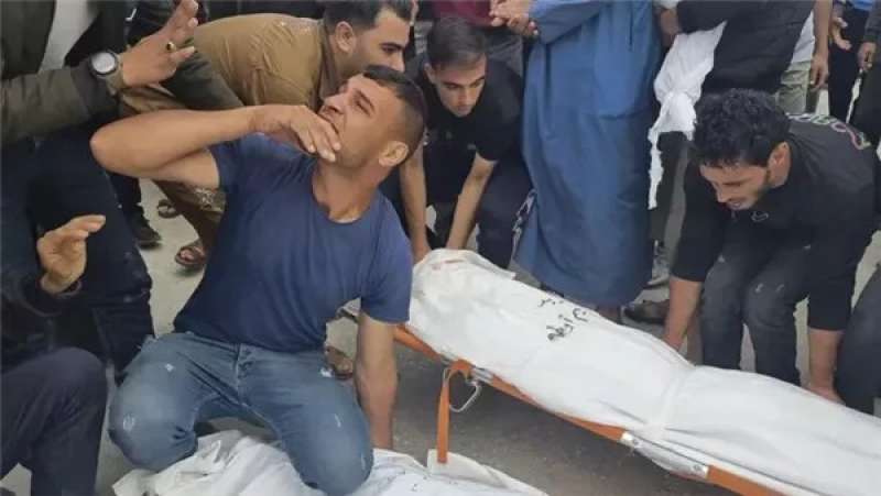 شهداء فلسطين - أرشيفية
