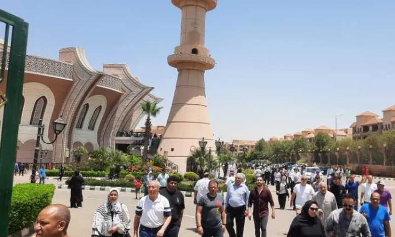 أحمد شوبير