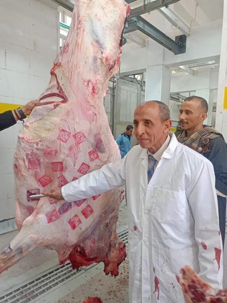 الاطباء البطرين اثناء المعاينه الذبيح