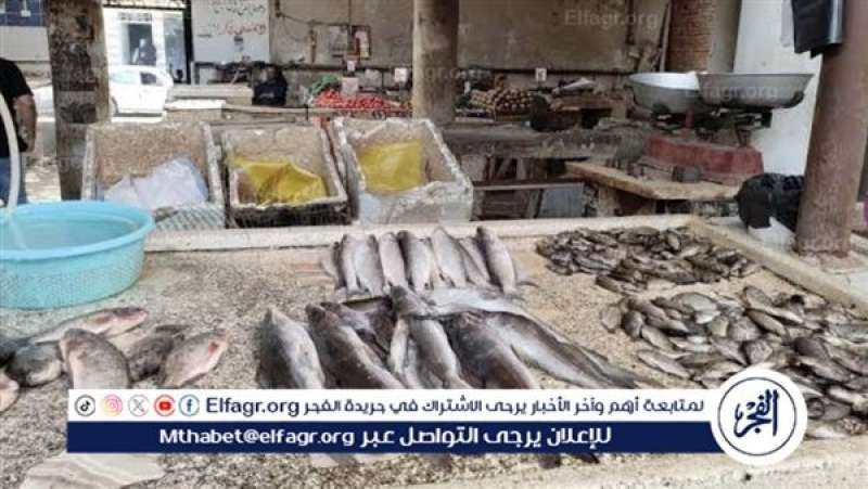 الرأي العام