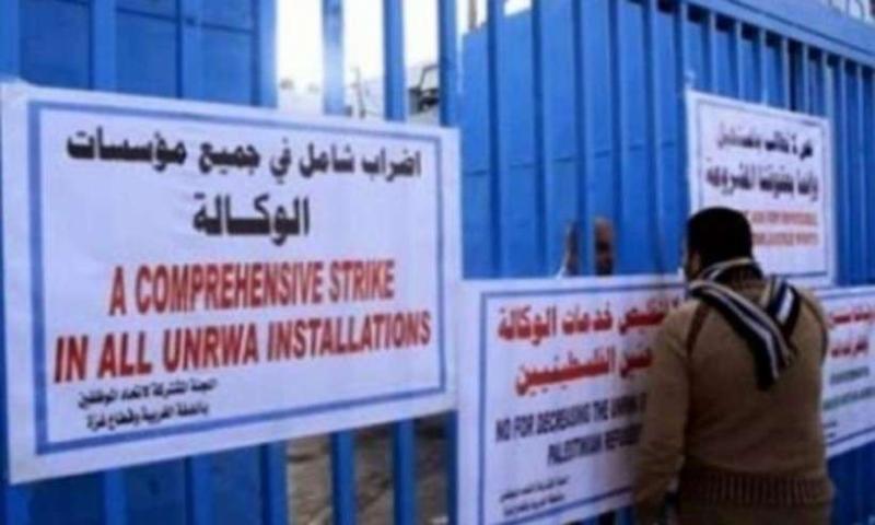 الرأي العام