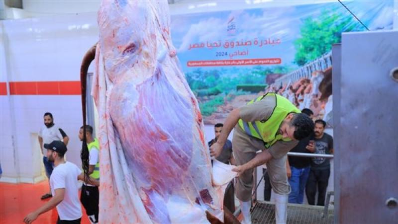 لحوم الأضاحي