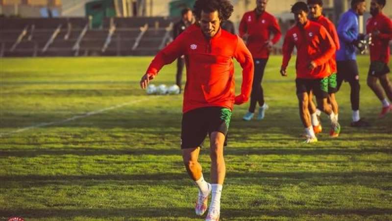 عمرو السيسي