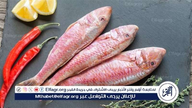 أسعار السمك البلطي والبوري اليوم الإثنين 17-6-2024 في محافظة