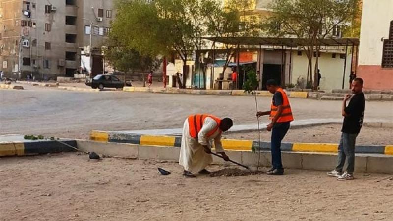 زراعة الاشجار
