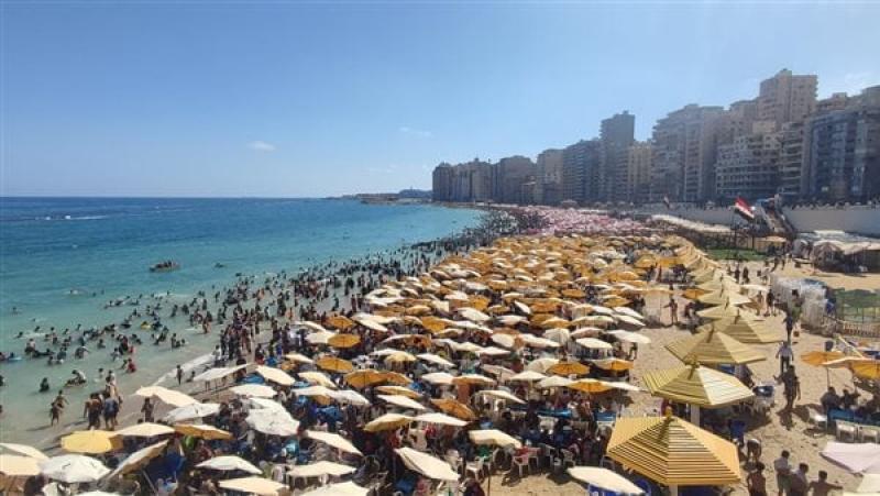 الإسكندرية