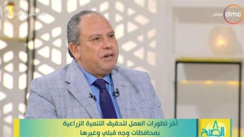 الدكتور محمد الشحات