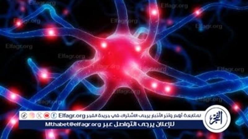 الرأي العام
