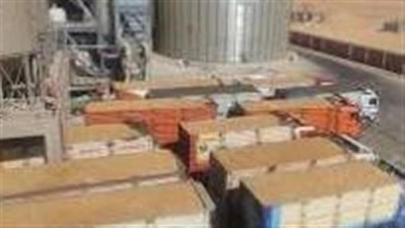 توريد محصول القمح