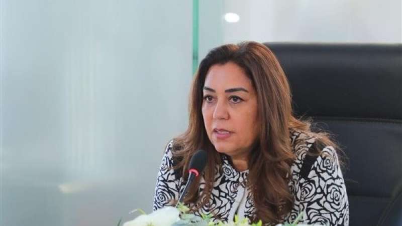 محافظ دمياط