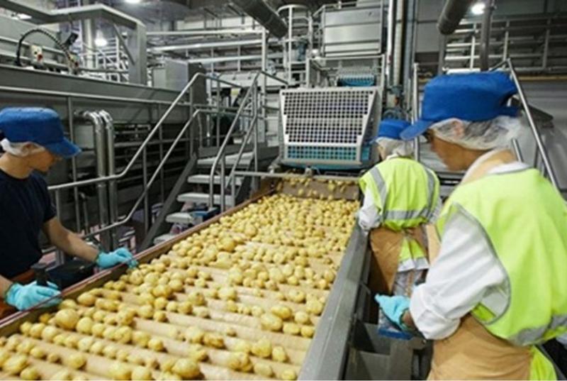 تدريب للعاملين في الصناعات الغذائية
