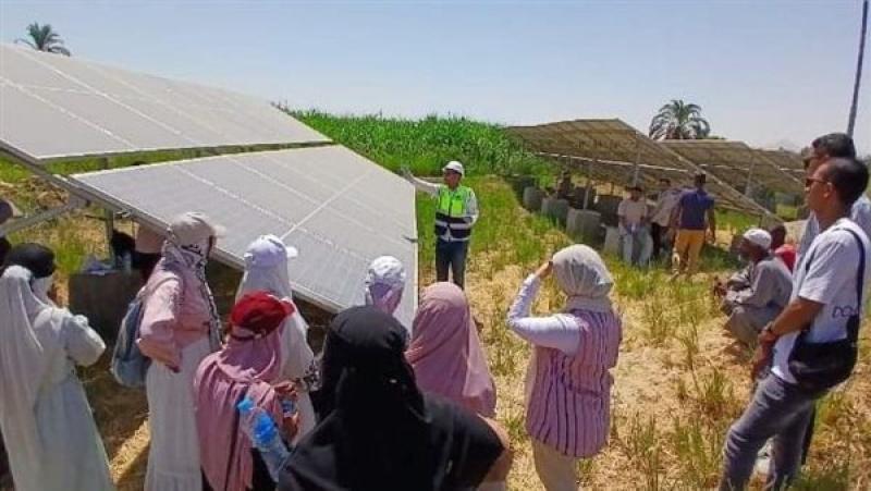 برامج تدريب نظرية وعملية في مجال الطاقة الشمسية بالأقصر