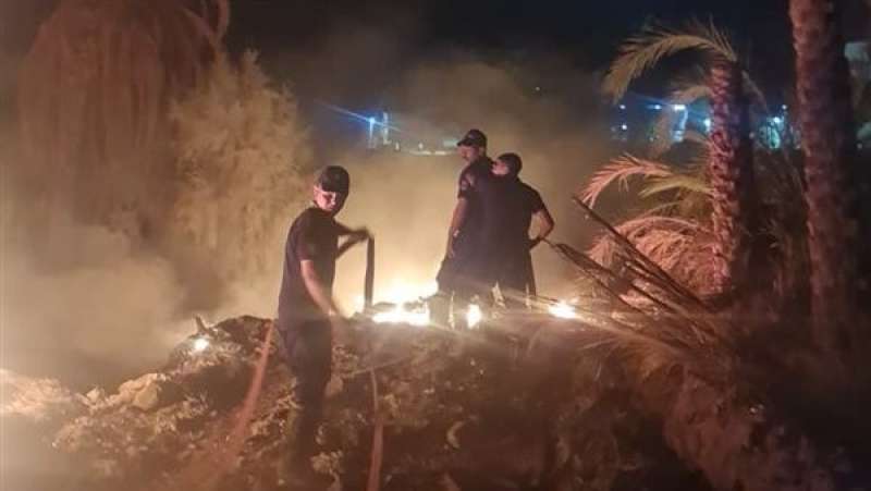 حريق بمزارع نخيل في الوادى الجديد