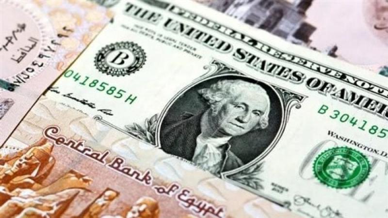 سعر الدولار