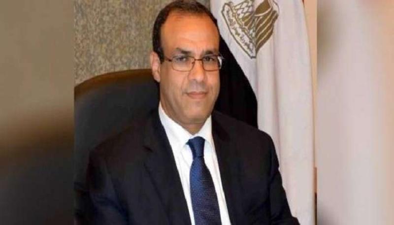 السفير بدر عبد العاطي