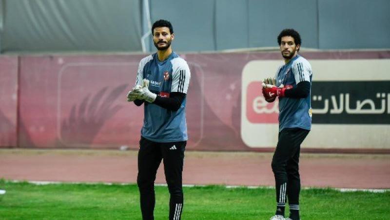 محمد الشناوي،