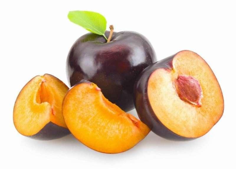 الرأي العام