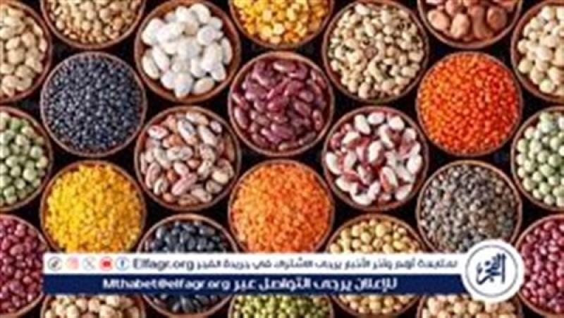 الرأي العام