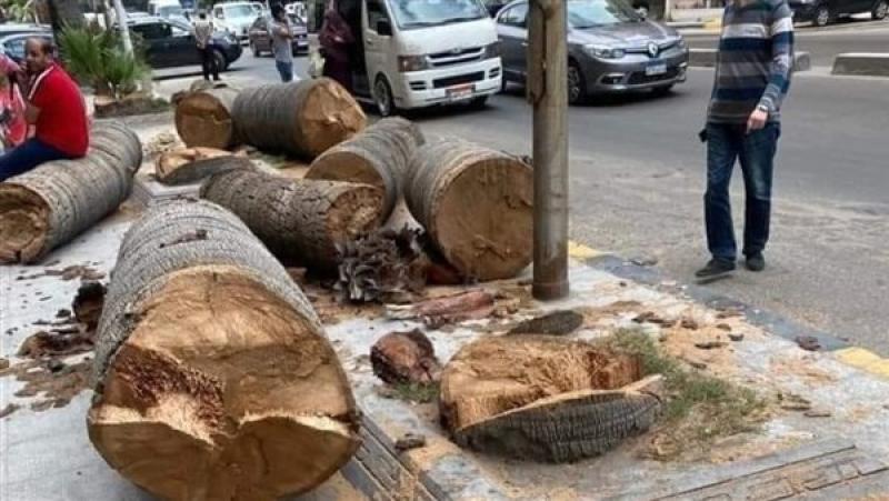 قطع الأشجار