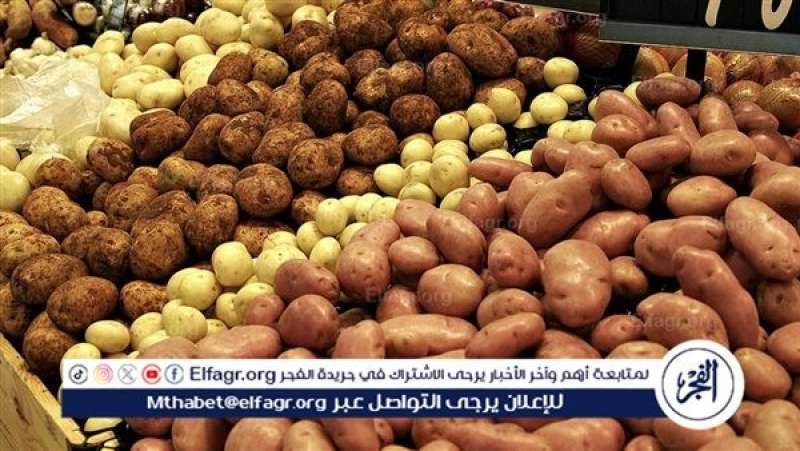 الرأي العام