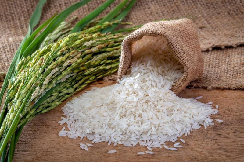 أسعار الأرز اليوم عند التاجر